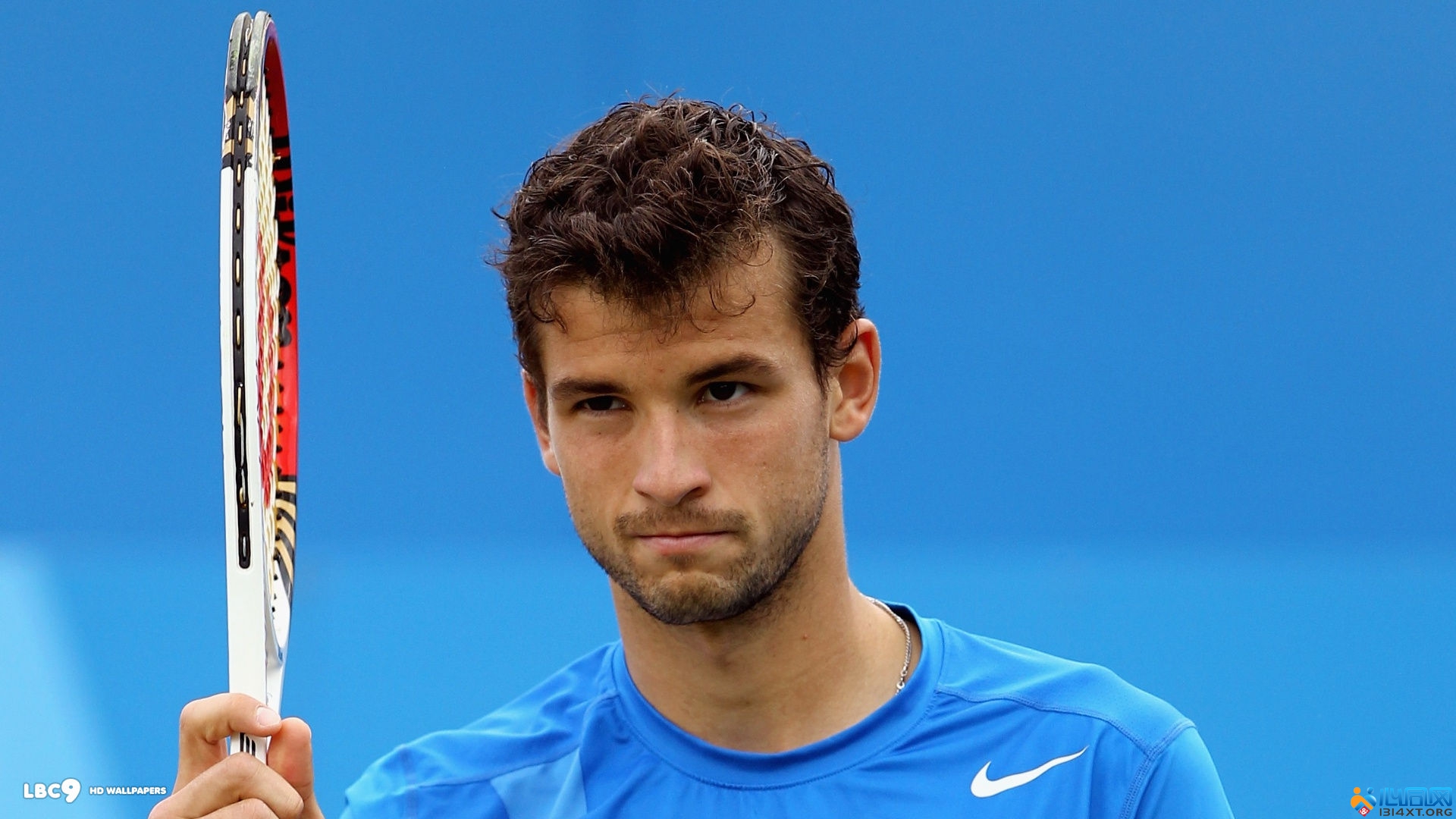 征荣誉与传 征荣誉与传